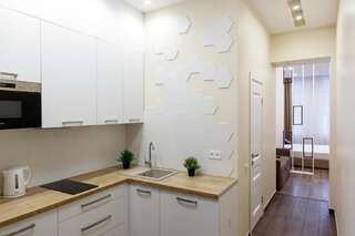 Апартаменты VIP Charming apartment in the city center Львов Апартаменты-19
